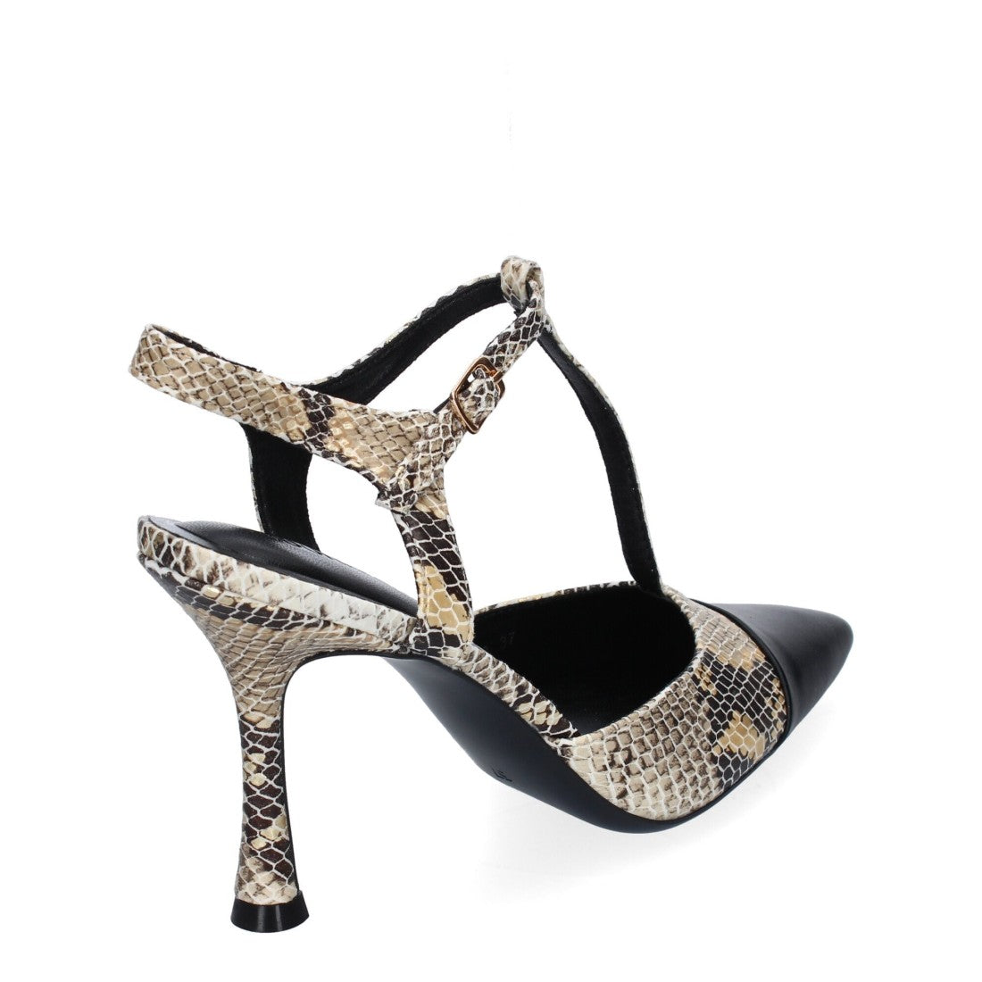 B-5098-Serpiente