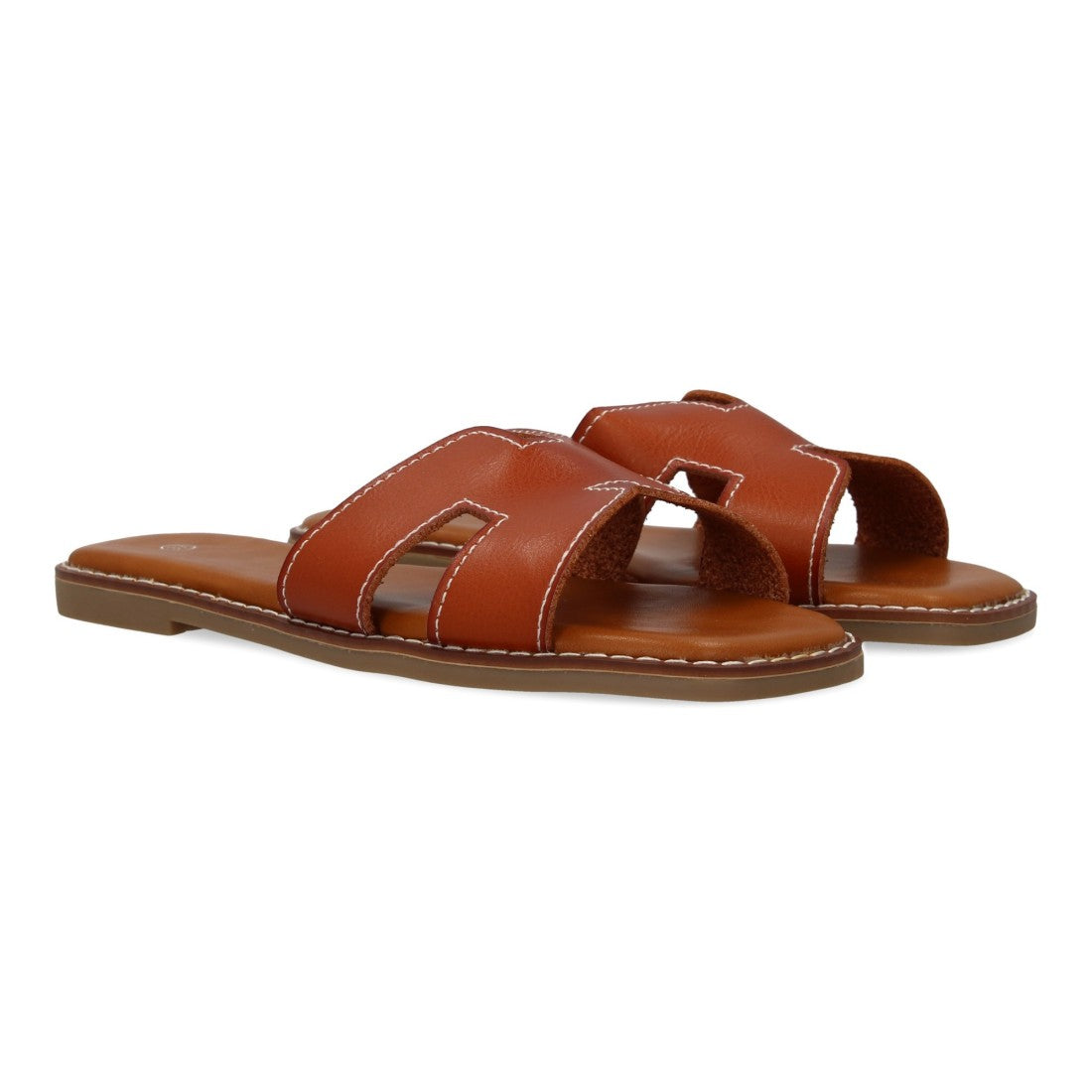 M-8081-Camel